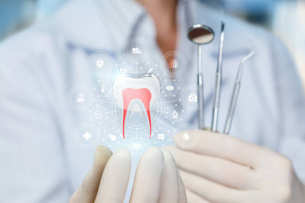Trusted Winchester, CA  Holistic Dental Services Experts